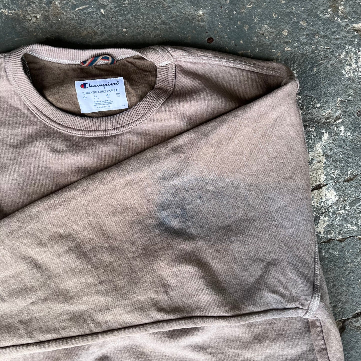 Champion Sweatshirt