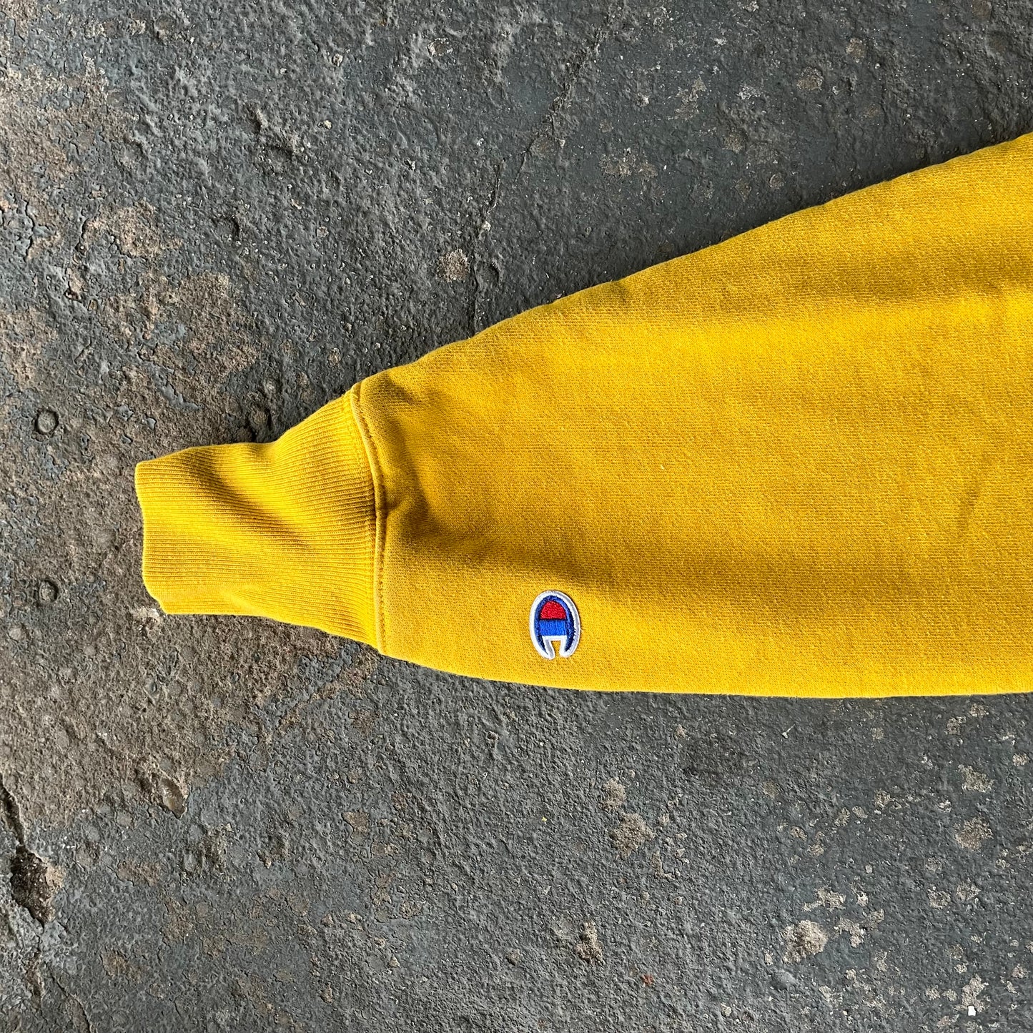 Cropped Champion Sweatshirt Reverse Weave Jumper