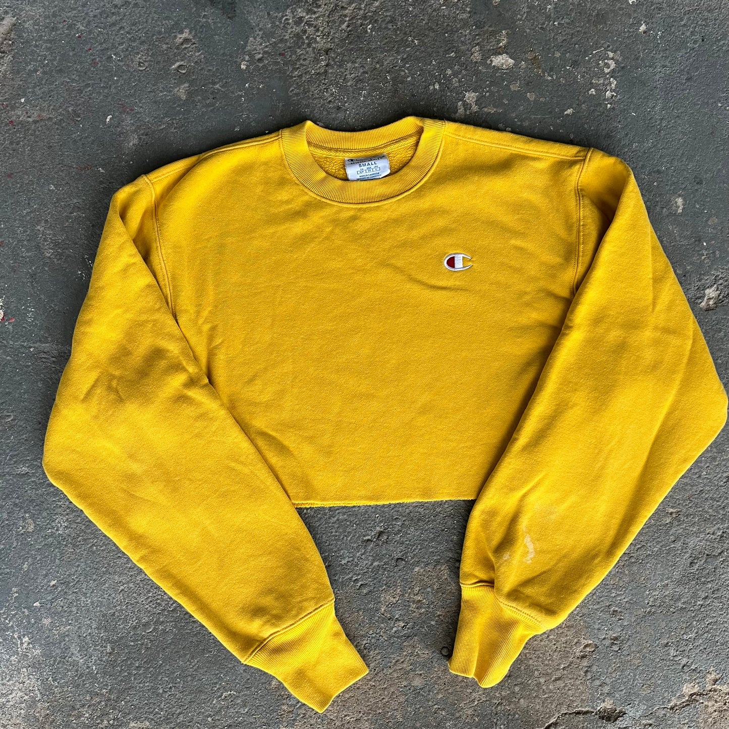 Cropped Champion Sweatshirt Reverse Weave Jumper
