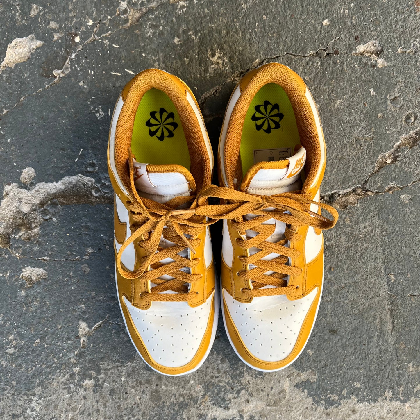 Nike Dunk Low Next Nature Phanom