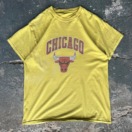 Vintage Chicago Bulls T-Shirt