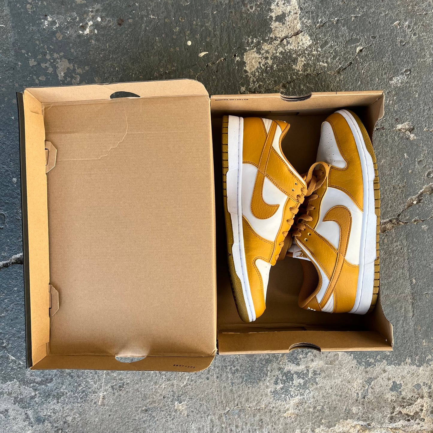 Nike Dunk Low Next Nature Phanom